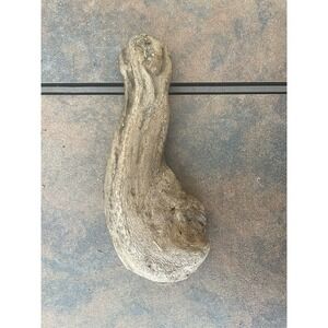 Natural Driftwood for Plants Terrarium Taxidermy Art Projects